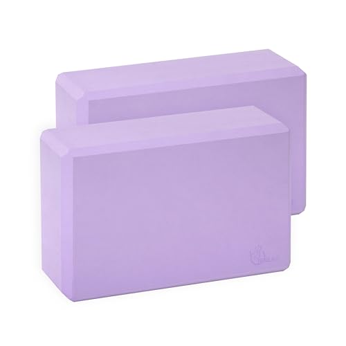 Exerz Yoga Blocks 2pcs Gym Bricks Comfortable Fitness