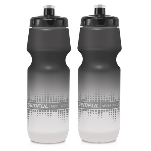 Gemful Trinkflasche Fahrrad 750 Ml 2er Pack Auslaufsicher
