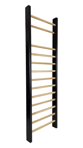 Ptc Sport Sprossenwand Aus Buche F R Physiotherapie