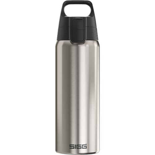 Sigg Edelstahl Trinkflasche Shield One Brushed F R