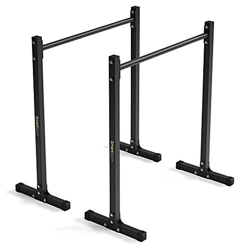 Smartgym Dip Stange Dip Barren Station Calisthenics Equipment