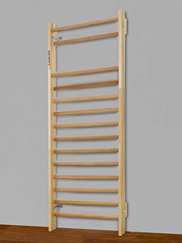 Artimex Sprossenwand F R Physiotherapie Und Gymnastik Verwendung