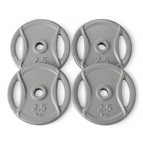 Amazon Basics Hantelscheibe Mit 2 54 Cm Griff