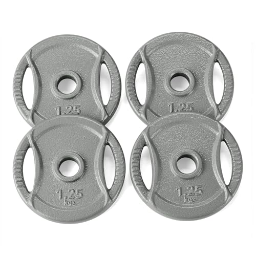 Amazon Basics Hantelscheibe Mit 2 54 Cm Griff