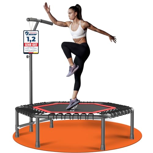 Dh Fitlife Fitness Trampolin In Studioqualit T 114cm