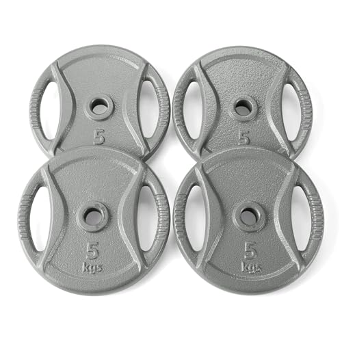 Amazon Basics Hantelscheibe Mit 2 54 Cm Griff