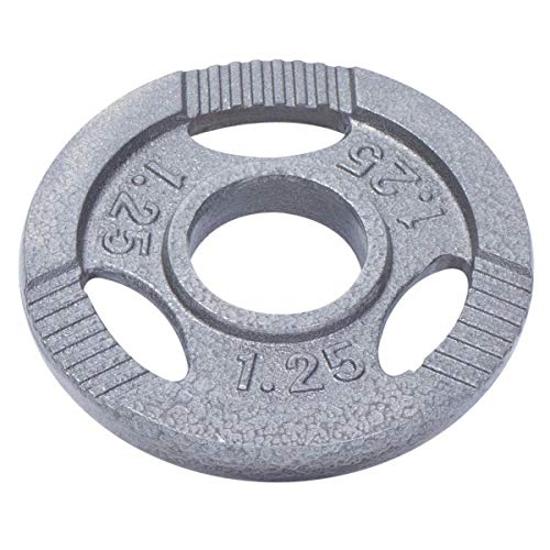 Gorilla Sports Olympia Hantelscheiben 1 25kg 2 5kg