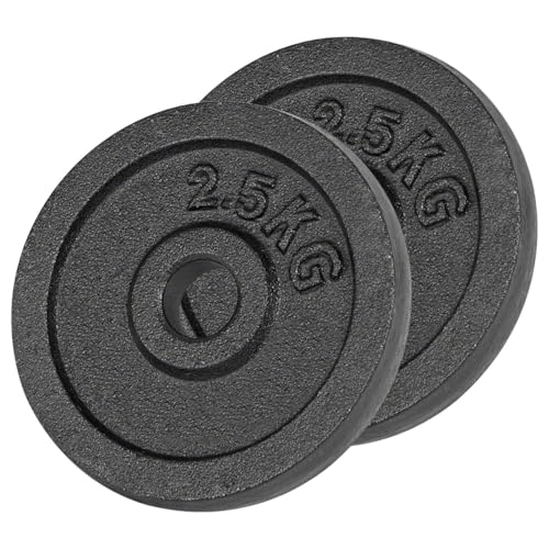 Sport Tec Hantelscheibe Aus Gu Eisen 0 5kg