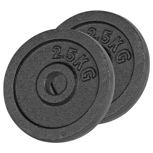 Sport Tec Hantelscheibe Aus Gu Eisen 0 5kg